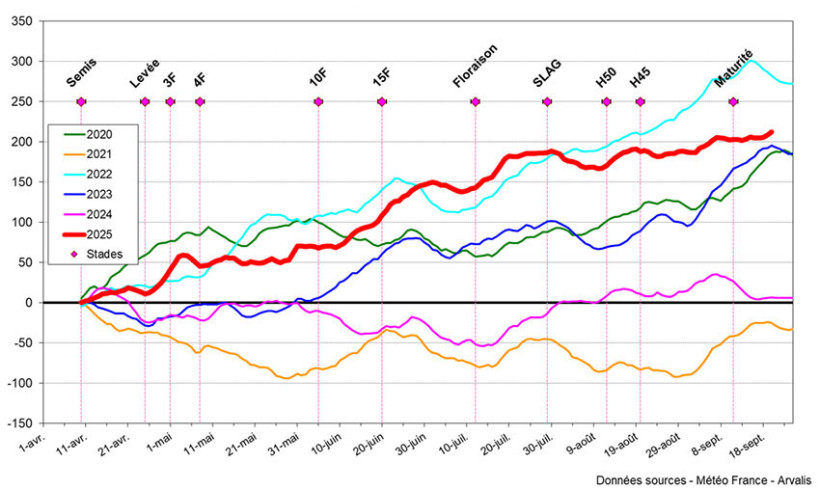 Figure 1 : Cumul de sommes de températures (base 6-30 °C) pour un semis du 10 avril, station météo d’Orléans (45)