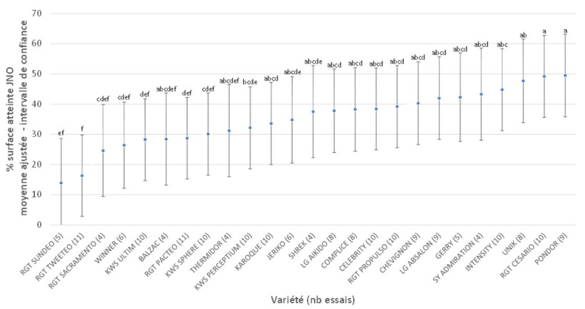 Figure 1 : Pourcentage de surface avec symptômes de JNO observés sur des variétés de blé tendre