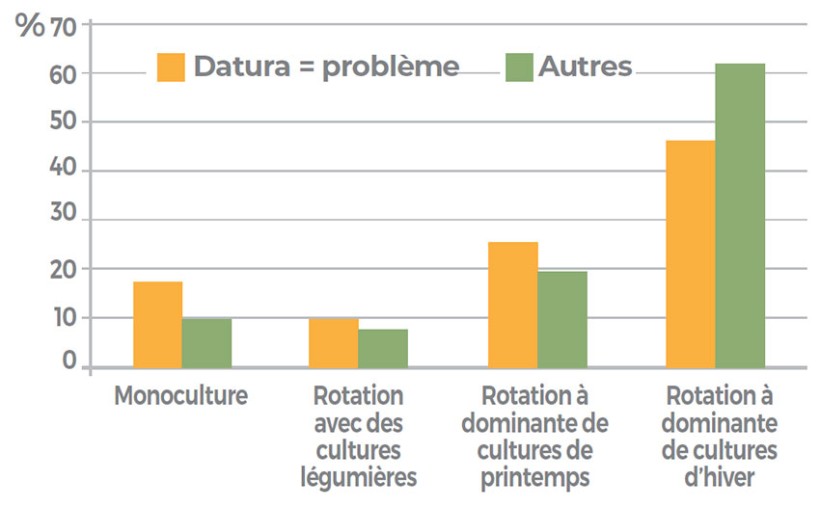 Fréquence du type de rotation chez les producteurs de maïs ayant des problèmes de maîtrise du datura (en orange) ou non (en vert).