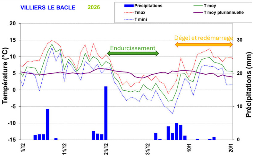 Figure 1 : Evolution quotidienne des températures et les précipitations entre le 1er décembre 2025 et le 20 janvier 2026 - Station météo de Villiers-le-Bâcle (91)