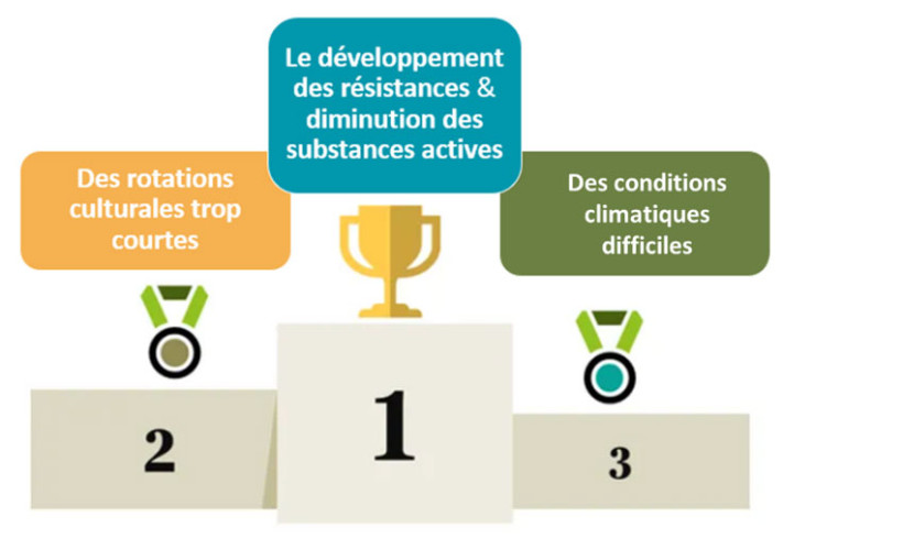 Figure 1 : Les trois principales causes de dégradation dans la gestion des adventices (toutes régions) – enquête 2025