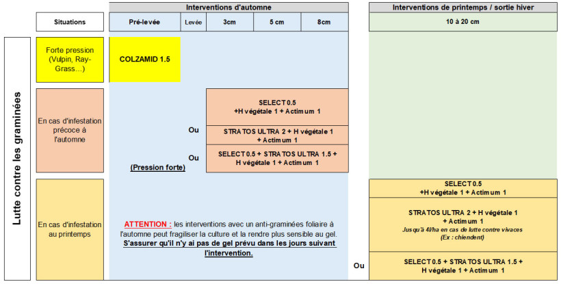Figure 1 : Exemples de stratégies de désherbage pour gérer une flore graminées