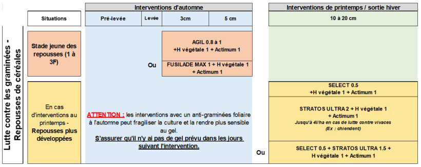 Figure 1 : Proposition de stratégie de désherbage pour gérer une infestation précoce et forte de graminées dans les lins fibres d’hiver