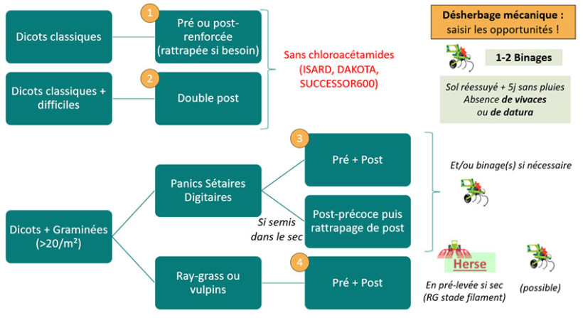Figure 1 : Choisir son programme de désherbage en fonction de la flore attendue