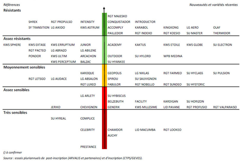 Figure 1 : Résistance des variétés de blé tendre à la rouille jaune - échelle 2025
