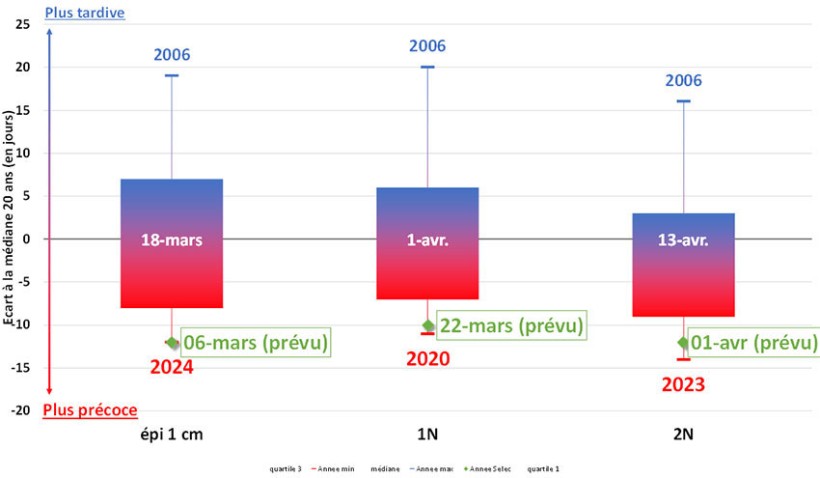 Figure 1 : Apparition des stades du blé tendre par rapport aux dates fréquentielles sur 20 ans – Variété Chevignon semée le 15 octobre 2023 – Station de Caen – Carpiquet (14)