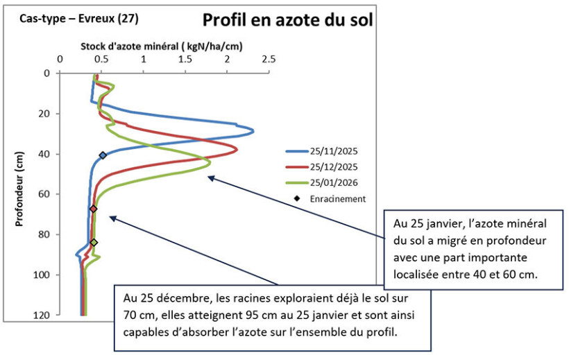 Figure 1 : Modélisation de la répartition de l’azote minéral du sol et de l’enracinement d’une culture de blé tendre semée le 15/10/25, Evreux, sol de limon, précédent lin textile (modèle CHN ARVALIS)