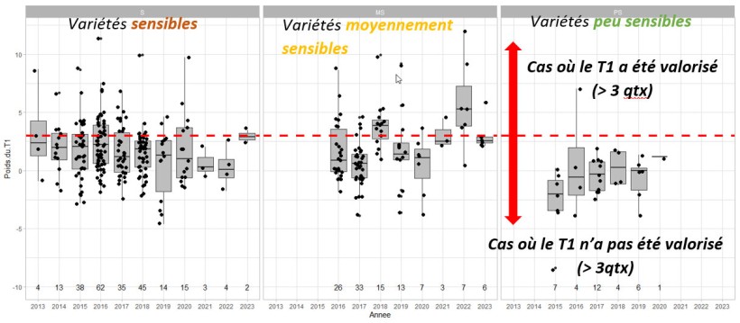 Figure 1 : Poids du T1 par année et par département, en fonction de la sensibilité variétale à la septoriose (S = Sensible ; MS = Moyennement Sensible ; PS = Peu Sensible) – synthèse d’essais de 2013 à 2023