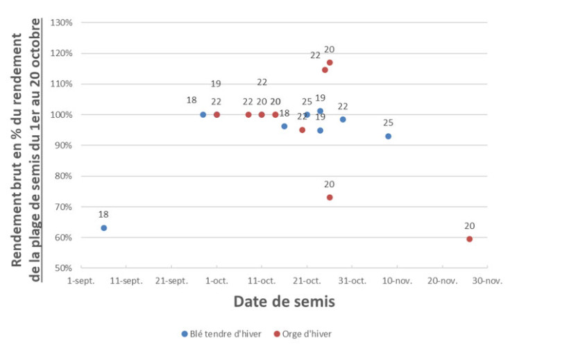 Figure 1 : Rendement d’un semis décalé en fonction de la date de semis précoce (1er au 20 octobre) sur blé tendre d'hiver et orge d'hiver dans les essais ARVALIS (8 essais de 2017 à 2025)