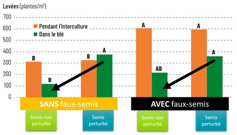Figure 1 : Levées de ray-grass pendant l’interculture et dans le blé suivant en fonction de la gestion de l’interculture et du semis – 4 essais entre 2007-2008 à Boigneville (91) et 2014-2015 à Crestot (27)