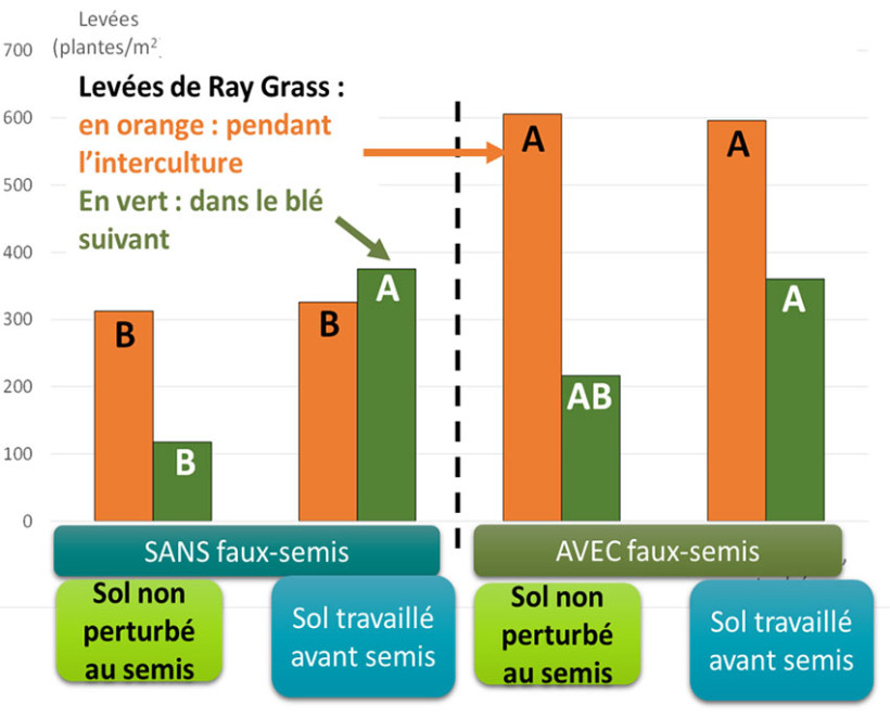 Figure 1 : Synthèse de 4 essais ARVALIS conduits sur blé infesté en ray-grass
