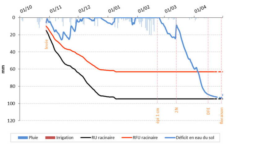 Figure 1 : Bilan hydrique d’un sol de limon sur schiste moyennement profond à La Jaillière (49), parcelle de blé semée mi-octobre 2025 - Illustration de la vidange précoce du réservoir en eau dans les conditions de l’année 
