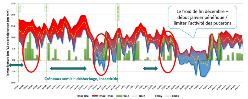 Figure 1 : Contexte agro-météo sur la première phase du cycle (semis à plein tallage) – De mi-octobre à fin janvier 2026 - Sur la station de la Jaillière (44) – Blé tendre d’hiver variété Intensity semée le 16 octobre 2025