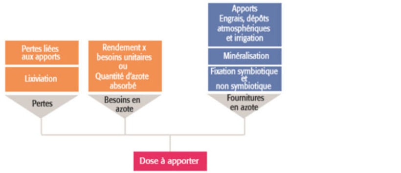 Figure 2 : méthode de calcul de la dose d’azote à sur pomme de terre