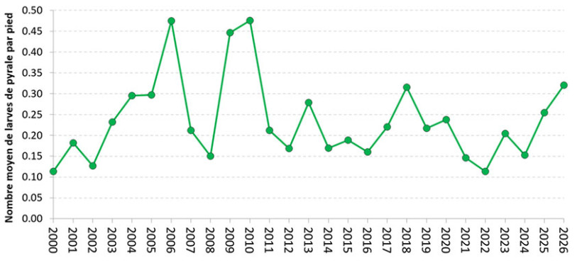 Figure 1 : Evolution pluriannuelle du nombre de larves par pyrale par pied, en région Centre-Val de Loire