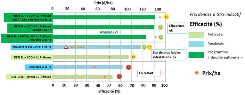 Figure 1 : Résultats des efficacités herbicides sur blé tendre d’hiver – cible ray-grass en prélevée, postlevée, programme « double automne » - Synthèse des essais nationaux ARVALIS en 2024/2025