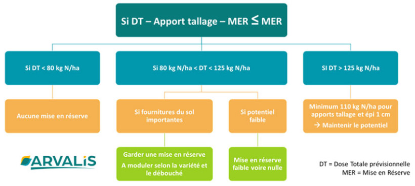 Figure 1 : Arbre de décision avec les stratégies à adopter sur des doses totales faibles