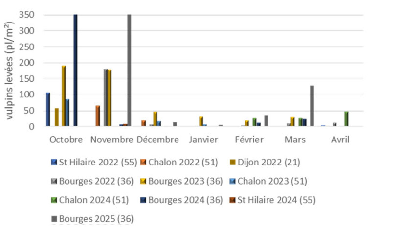 Figure 1 : Levée des vulpins (pl/m2) - 10 suivis - Automne 2022 à 2025