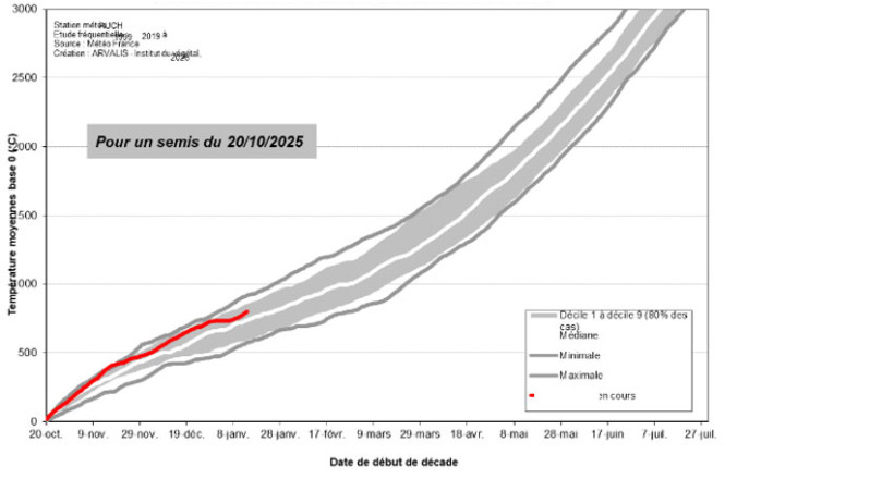 Figure 1 : Evolution des cumuls des températures moyennes à Auch (32) depuis le 20 octobre 2025