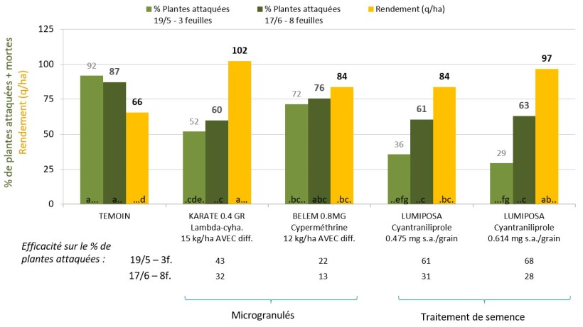 Figure 1 : Comparaison de solutions pour la protection du maïs contre la géomyze – Résultats d’essai réalisé à Ploudalmézeau (29) en 2023