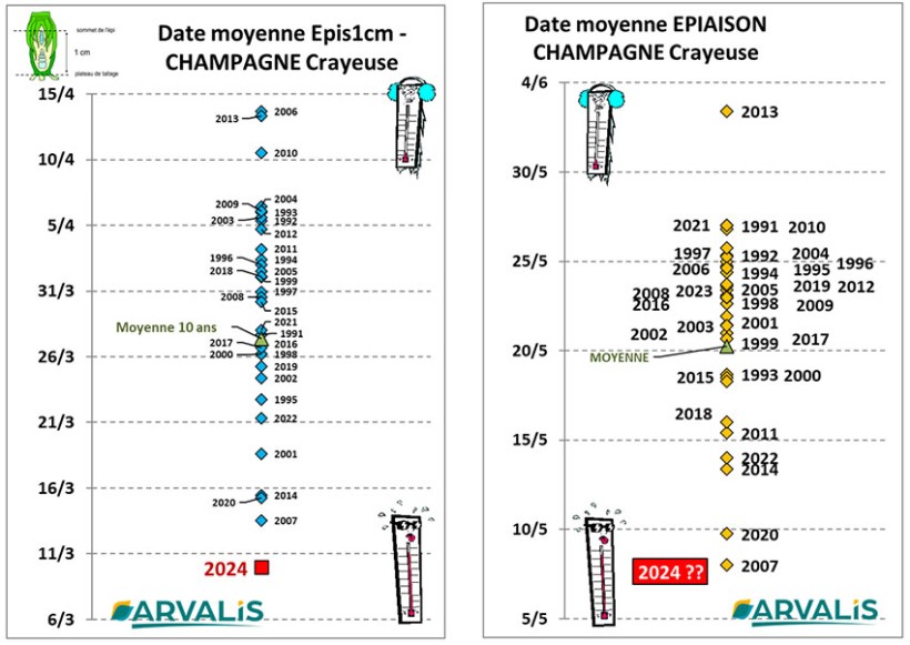 Figures 2 et 3 : Dates moyennes pour le blé en Champagne au niveau du stade épi 1 cm et épiaison (parcelles REPERES observatoire ARVALIS)