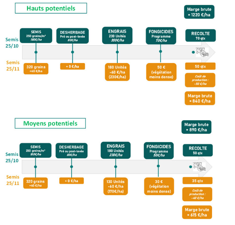 Figure 2 : Exemples d’ajustement de l’itinéraire technique à la date de semis