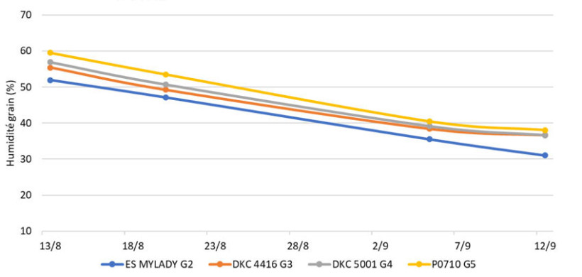 Figure 2 : Suivi de l’humidité du grain à Saint-Beauzire (63), maïs irrigué en terre noire