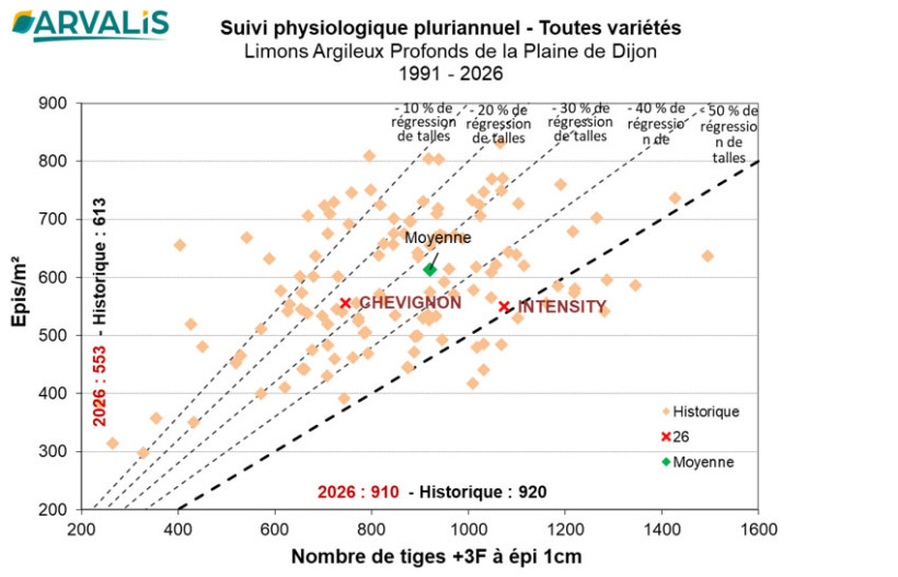 Figure 2. Nombre d'épis par m² en fonction du nombre de tiges à + 3F à épi 1cm traduisant un % de régression de talles dans les essais physiologie pluriannuel en limon argileux profond