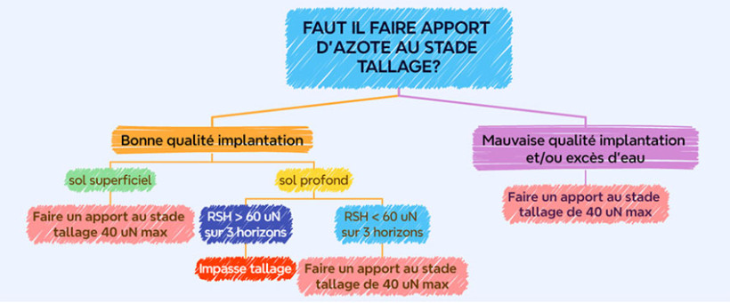 Figure 2 : Arbre de décision pour raisonner l’apport d’azote au tallage