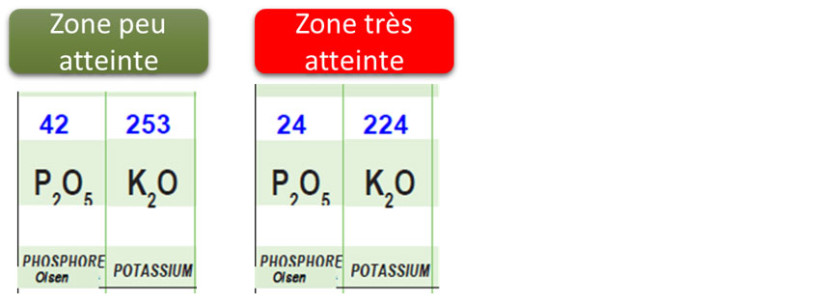Figure 2 : Extrait Analyse de terre sur la parcelle avec une carence en phosphore sur maïs