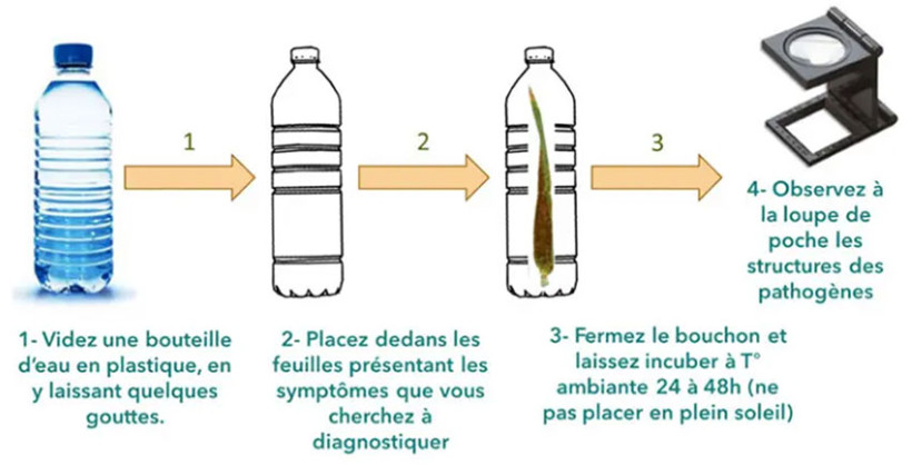 Figure 2 : Principe de la chambre humide