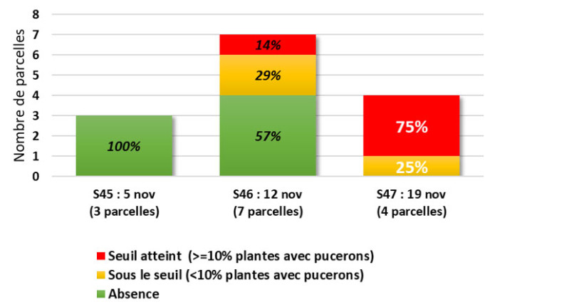 Figure 2 : Synthèse des observations pucerons sur orge d’hiver en Bretagne