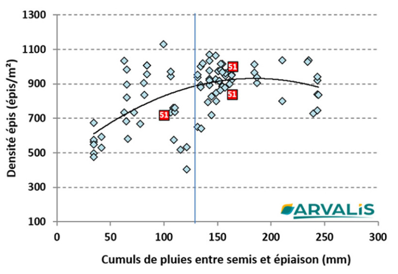 Figure 2 :  Des densités épis en orges de printemps semées au printemps en fonction des cumuls de pluies entre semis et épiaison