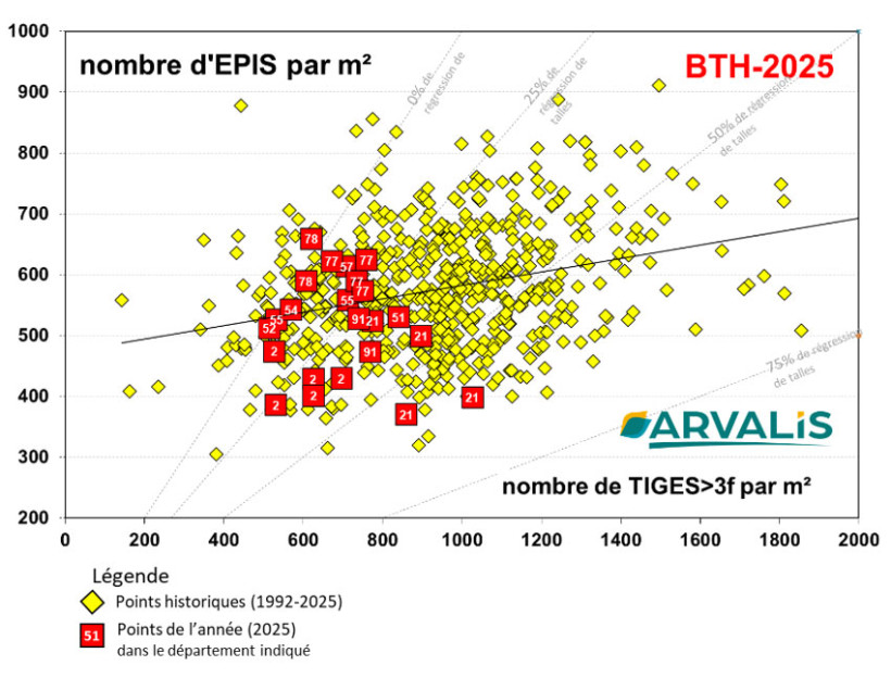 Figure 2 : Nombre d’épis/m² en fonction du nombre de talles à plus de 3 feuilles au stade épi 1 cm Observatoire ARVALIS