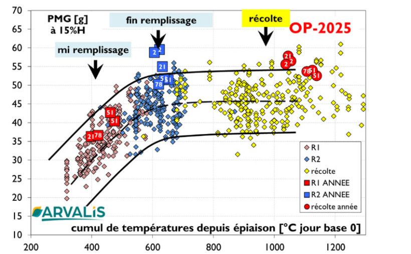 Figure 2 : Cinétique de remplissage des orges de printemps - Observatoire ARVALIS