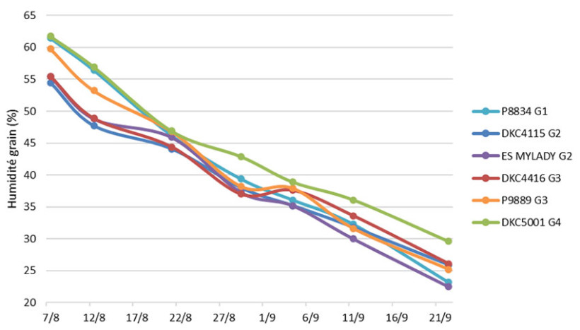 Figure 2 : Suivi de l’humidité du grain en % pour différentes variétés – Semis du 10 avril - Floraison femelle le 4 juillet - Situation irriguée - Epieds-En-Beauce (45)