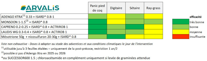 Tableau 2 : Propositions de rattrapage en postlevée sur graminées