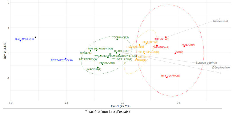 Figure 2 : Analyse en Composantes Principales (ACP) de variétés de blé tendre vis-à-vis de leur symptomatique JNO (surface atteinte, décoloration des feuilles et tassement des plantes)