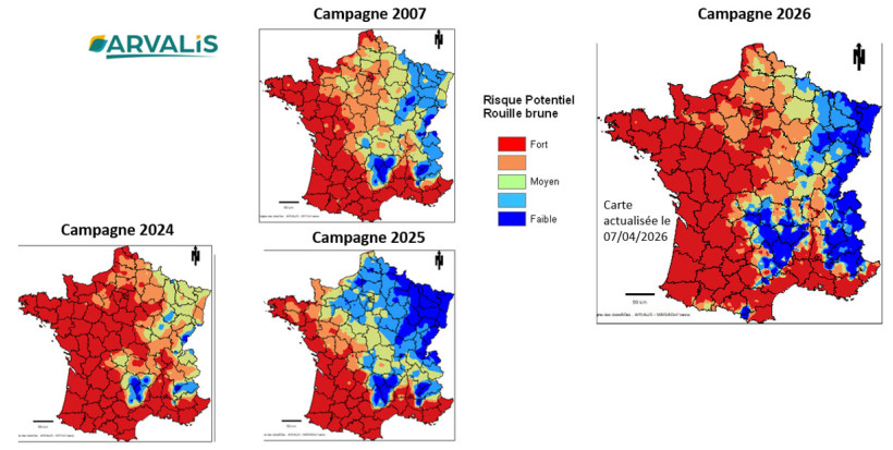 Cartes 4 à 7 : Comparaison du risque potentiel rouille brune entre 2007 2025 et 2026 - Somme de températures moyennes base 0 entre le 1er novembre et le 31 mars