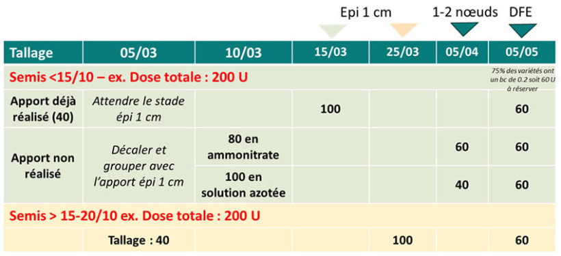 Tableau 4 : Stratégie de fertilisation azotée au 05/03 à l’approche du stade épi 1 cm