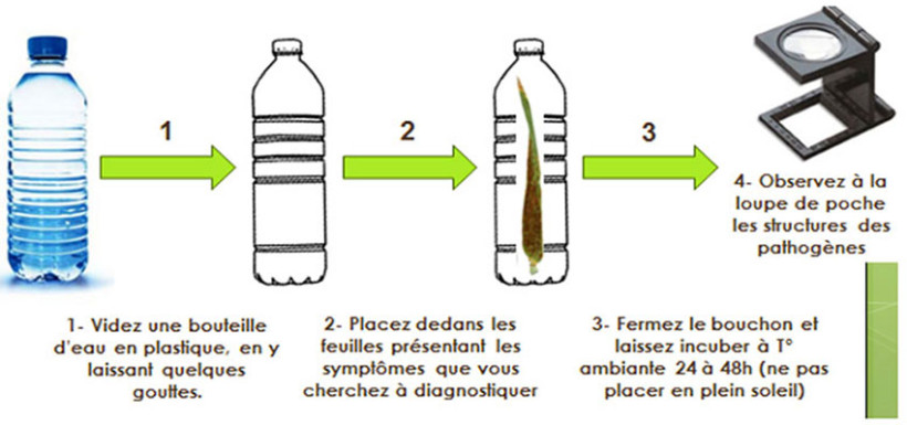 Figure 2 : Test de la chambre humide ou bouteille
