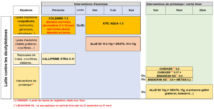 Figure 2 : Exemples de stratégies de désherbage pour gérer une flore dicotylédones