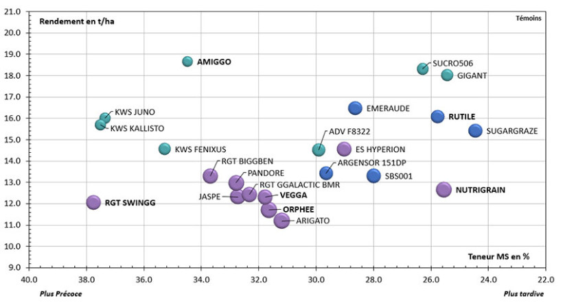 Figure 2 : Rendement, durée de cycle et UFL 2025 des variétés de sorgho monocoupe