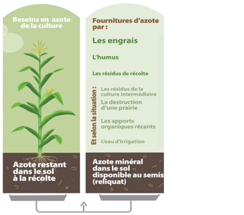 Figure 2 : Balance azotée permettant d’équilibrer les apports avec les besoins de la culture