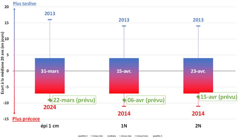 Figure 2 : Apparition des stades du blé tendre par rapport aux dates fréquentielles sur 20 ans – Variété Chevignon semée le 15 novembre 2023 – Station de Caen – Carpiquet (14)