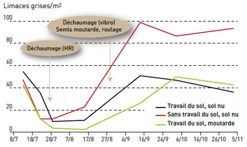 Figure 2 : Impact du travail du sol sur les limaces grises