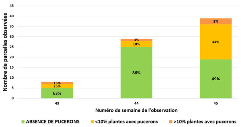 Figure 2 : Evolution de l’infestation des parcelles au sein du réseau BSV