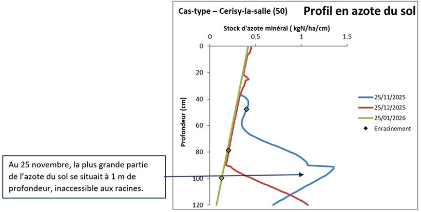 Figure 2 : Modélisation de la répartition de l’azote minéral du sol et de l’enracinement d’une culture de blé tendre semée le 15/10/25, site de Cerisy-la-Salle, sol de limon, précédent lin textile (modèle CHN ARVALIS)