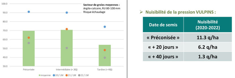 Figure 2 : Impact du décalage de la date de semis sur le rendement – essais ARVALIS Le Magneraud (17), 2020-2022, terres de groies, flore vulpins)