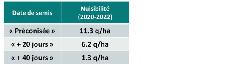 Figure 2 : Impact du décalage de la date de semis préconisée (autour du 20 octobre) sur la nuisibilité liée à la présence de vulpins (ARVALIS Le Magneraud, 2020-2022, terres de groies)